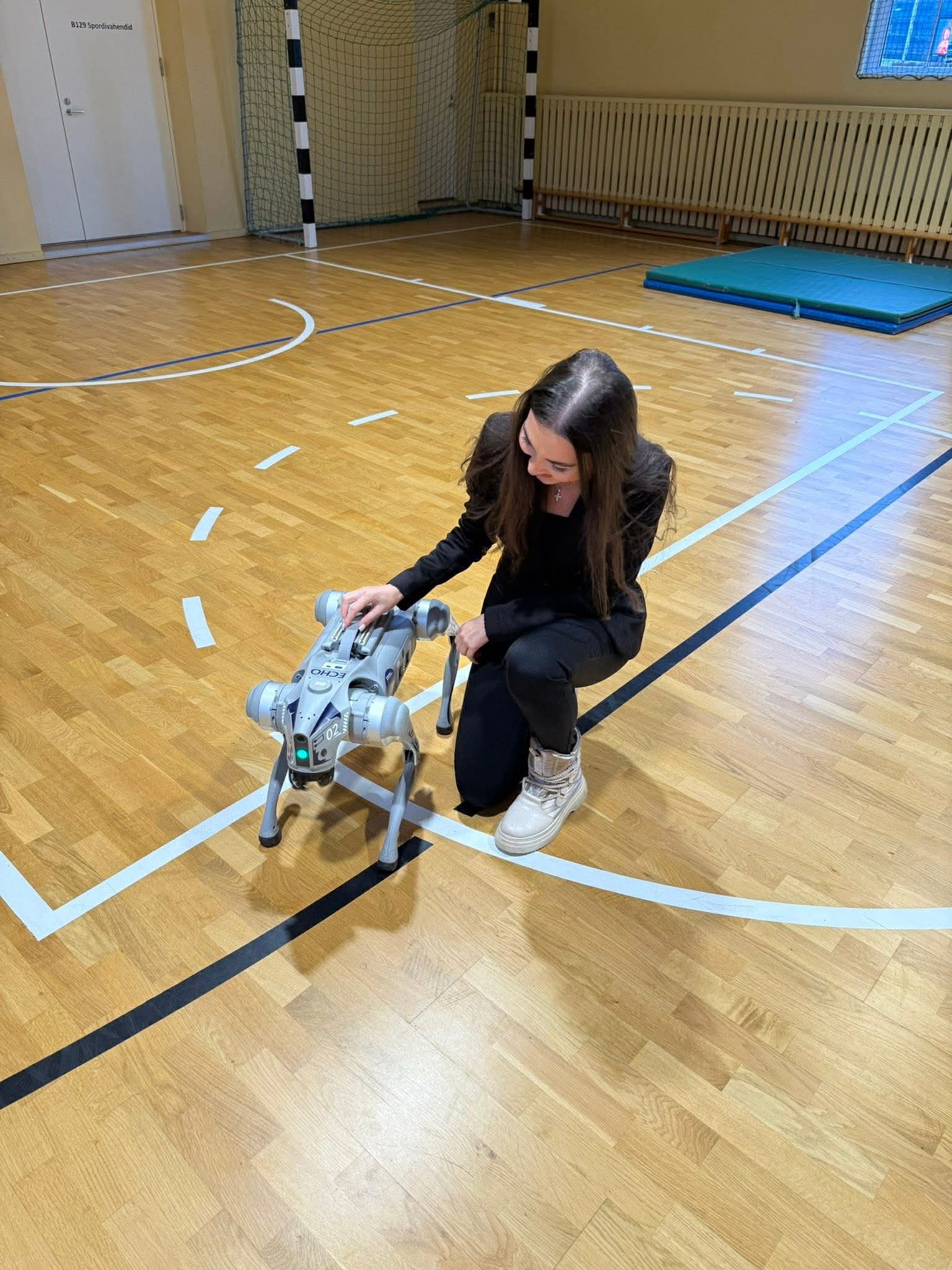 საერთაშორისო სასწავლო პროექტს Front-end დეველოპმენტის მიმართულებით